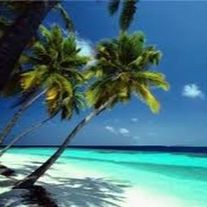 Meet your Posher, Sheila